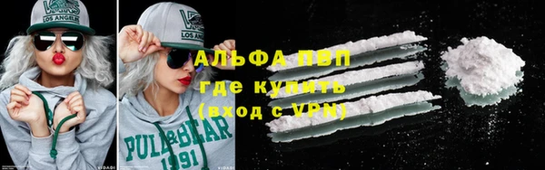 шишки Беломорск