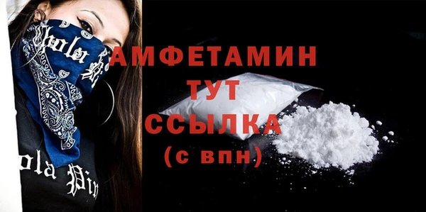 шишки Беломорск