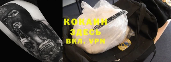 шишки Беломорск
