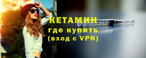 шишки Беломорск