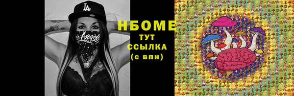 шишки Беломорск