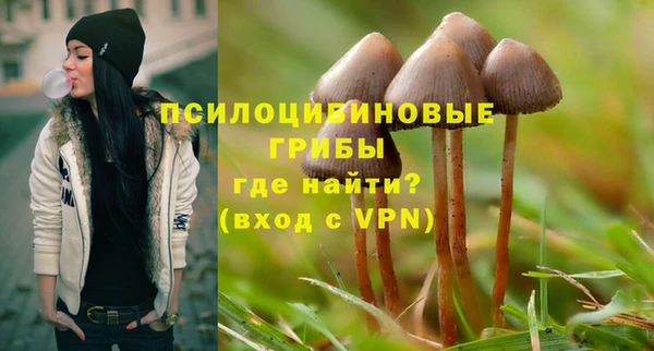 амфетамин Белокуриха